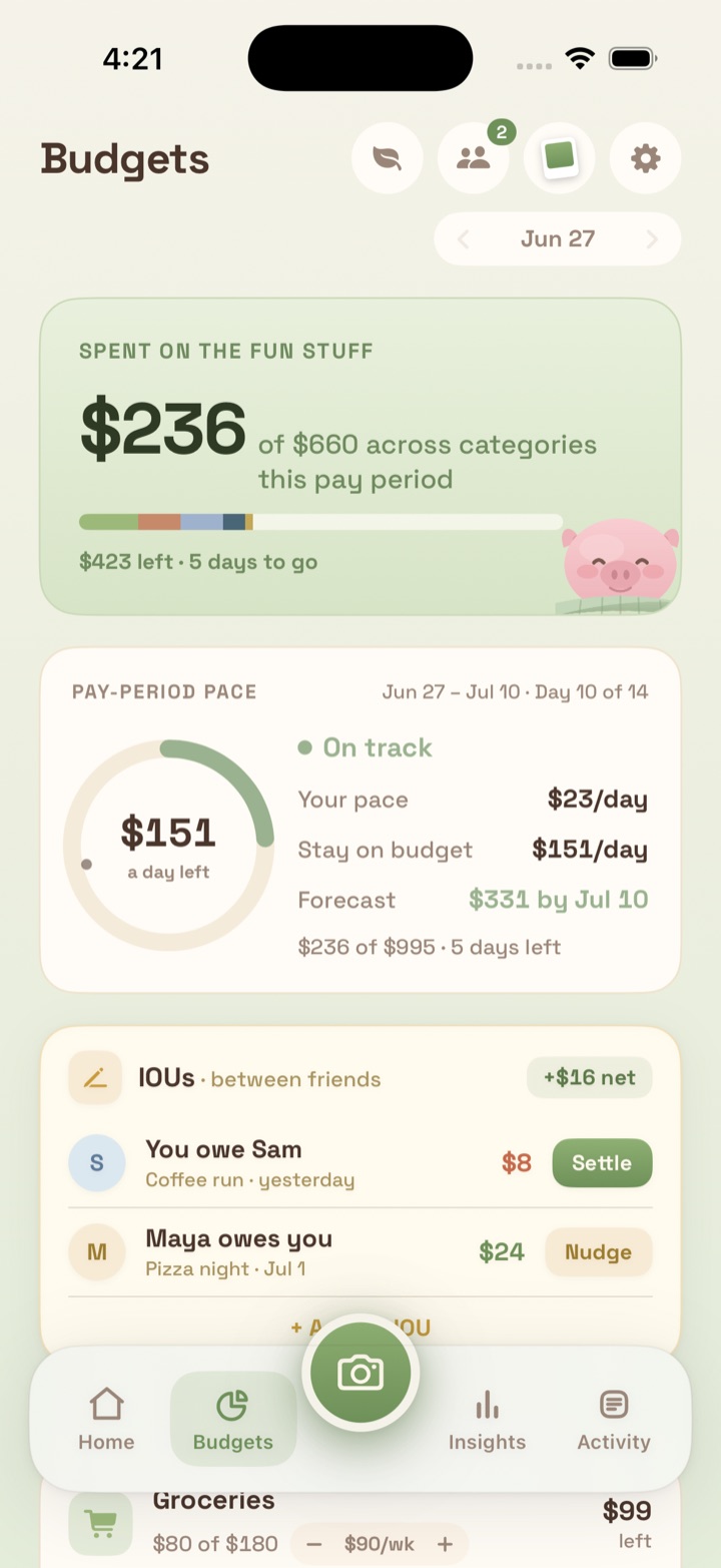 Budgets screen with category spending and IOUs between friends